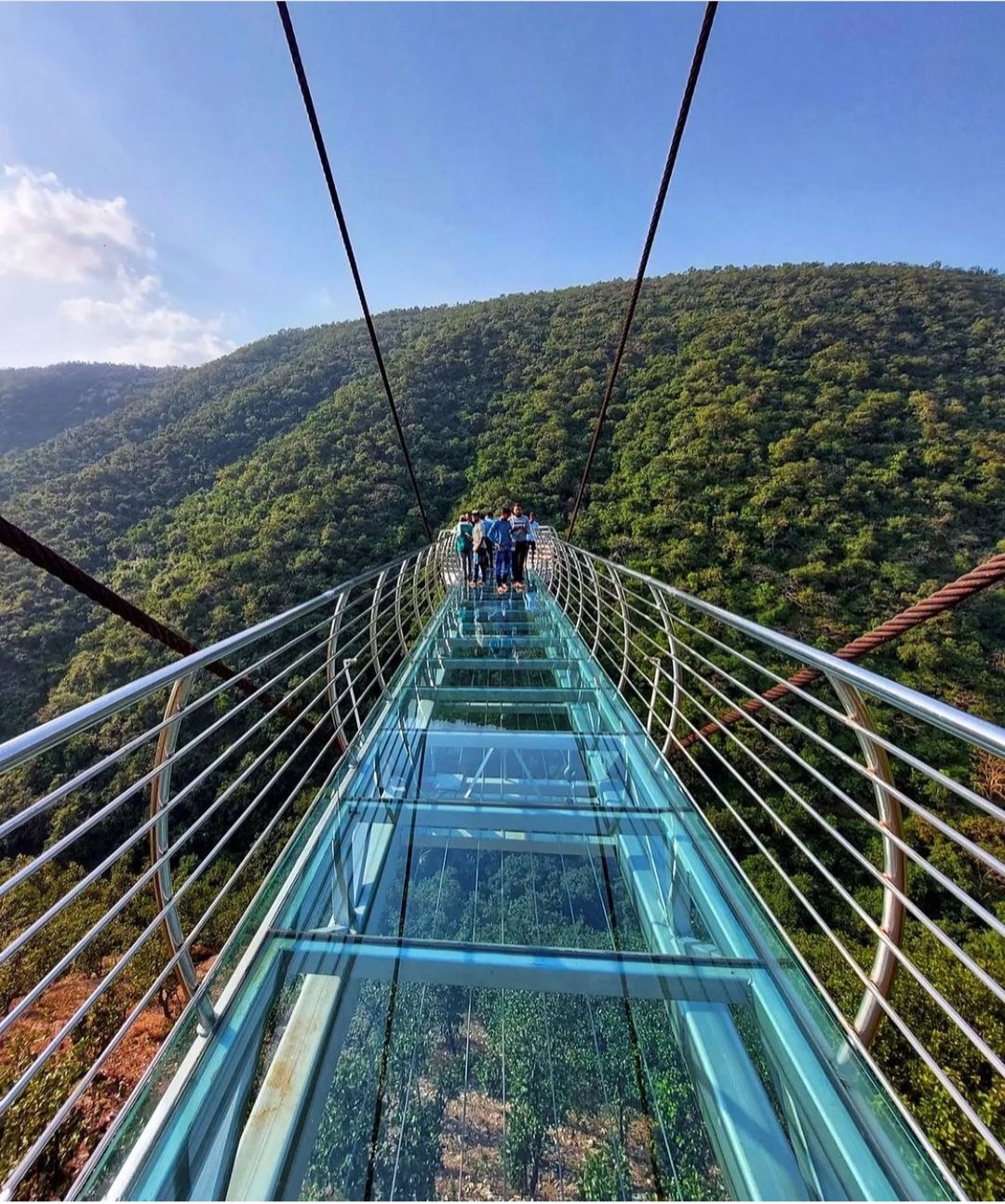 Nature Safari Rajgir